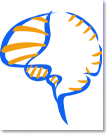 Logo Systemische Zelluläre Neurobiologie